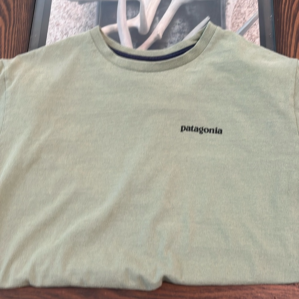Men’s Patagonia shirt
